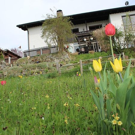 Haus Koblizek Apartment วัลด์เคอร์เชิน ภายนอก รูปภาพ